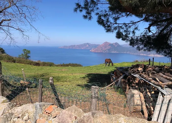 Apartman T3 En Duplex Au Coeur De