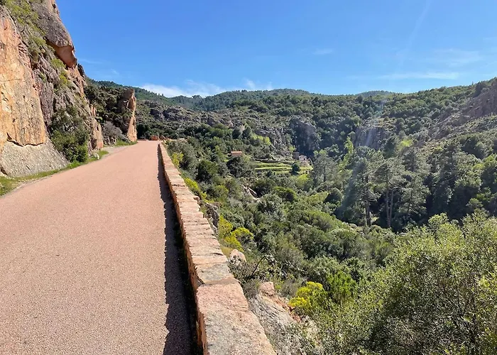 T3 En Duplex Au Coeur De Apartman