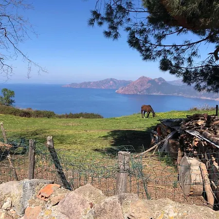 Lägenhet T3 En Duplex Au Coeur De