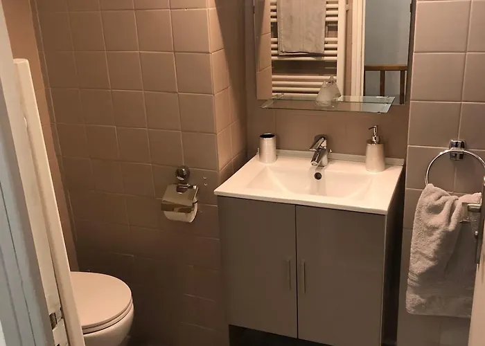 Appartement T3 En Duplex Au Coeur De