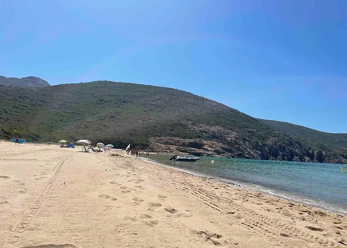 T3 En Duplex Au Coeur De *